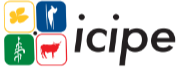 icipe